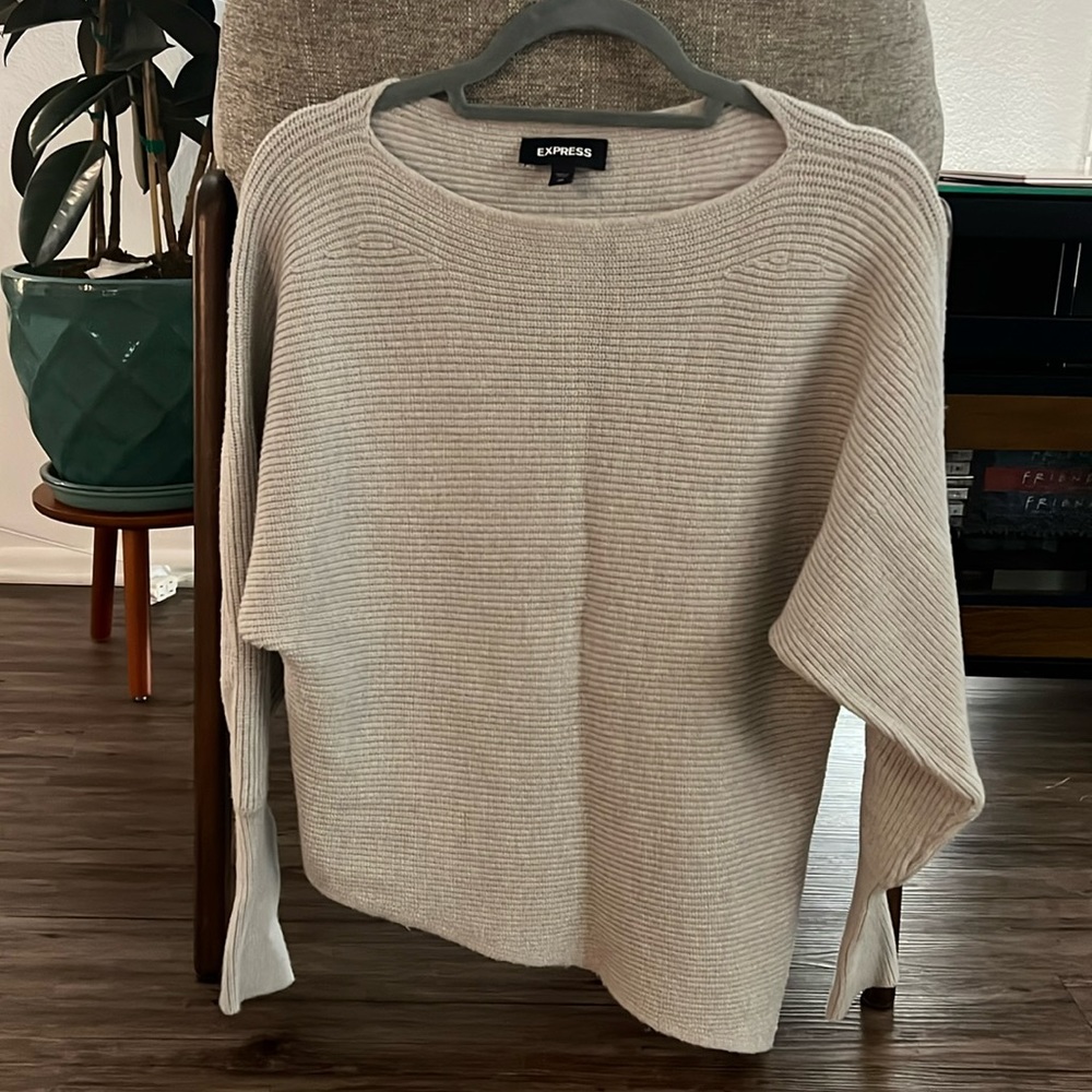 EXPRESS Sweater